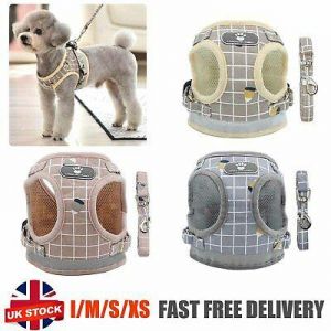 take it easy pets Puppy Small Dog Cat Harness and Walking Leads Set Pet Supplies Reflective Vest