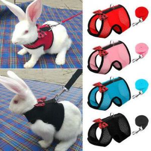 Rabbit Harness and Leash Set Hamster Cat Ferrets Squirrel Vest Small Puppy Dogs